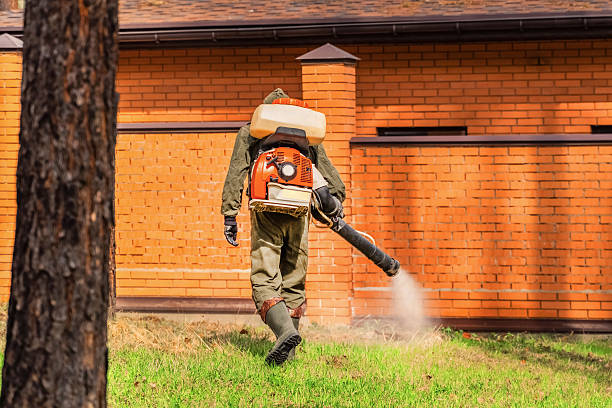 Bed Bug Clearance Verification and Documentation in San Dimas